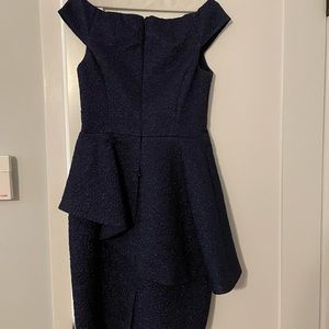 Teri Jon dress worn once for pictures only.